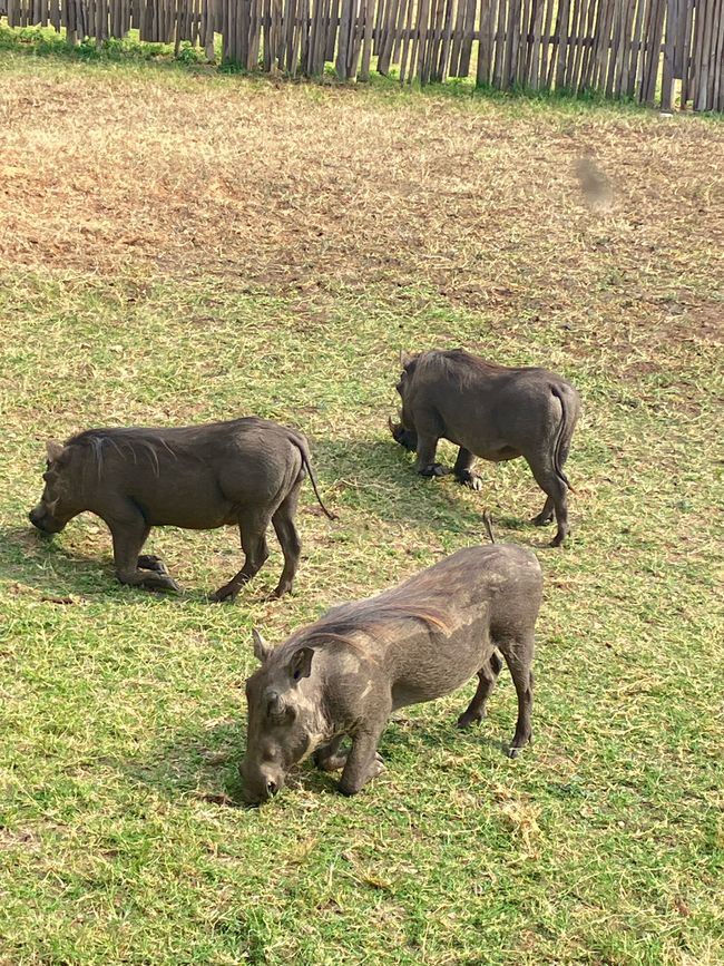 Queen Elizabeth Nationalpark