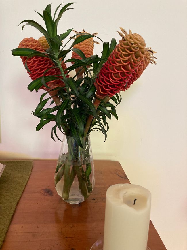 Altarblumen, aus dem Garten