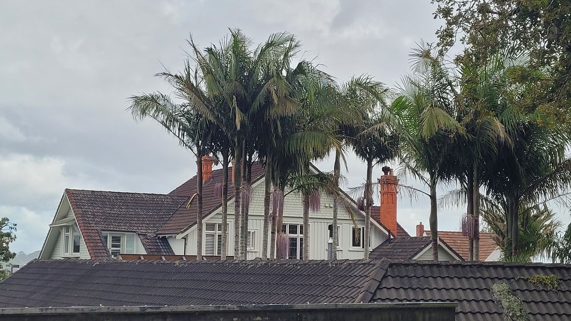 29.Januar-27.Februar 2025 Neuseeland
20.Januar