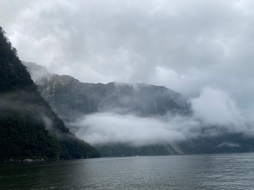 Road trip to Milford Sound