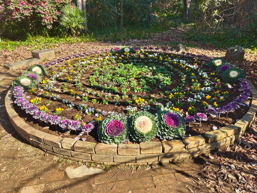 Impressionen aus dem Serigaya Park #7