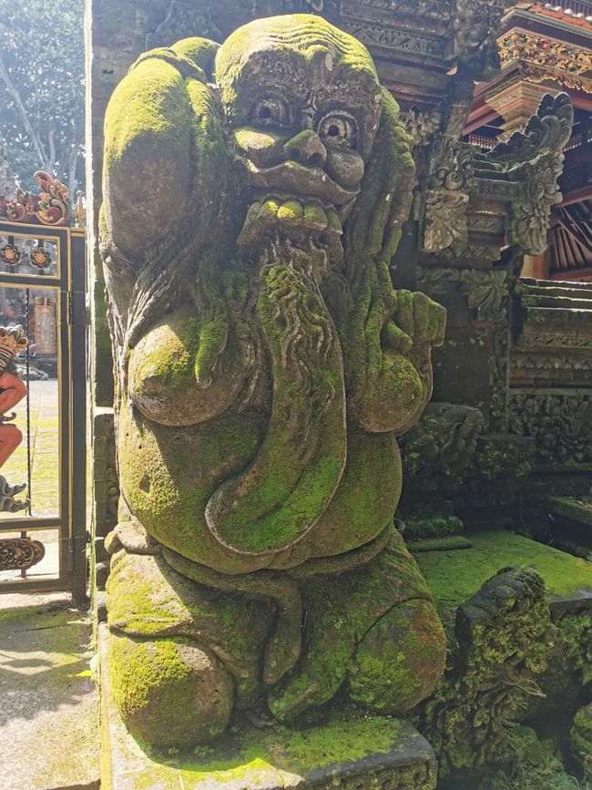 ... los monos siempre se agrupan alrededor de las figuras sagradas ...