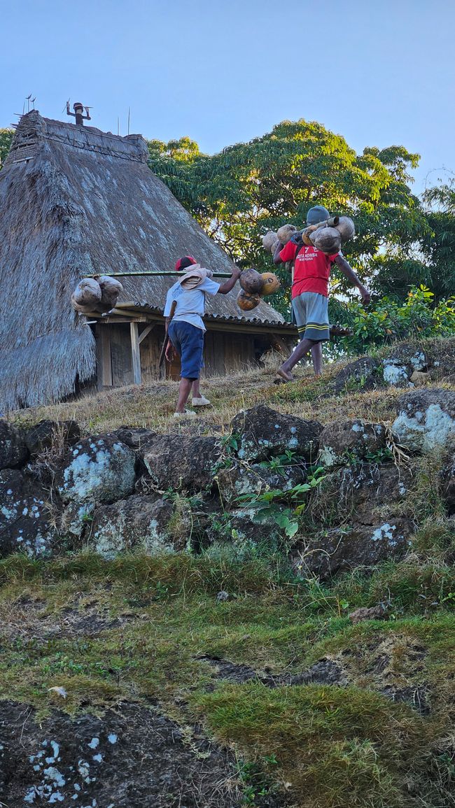 Bajawa y cuatro pueblos tradicionales