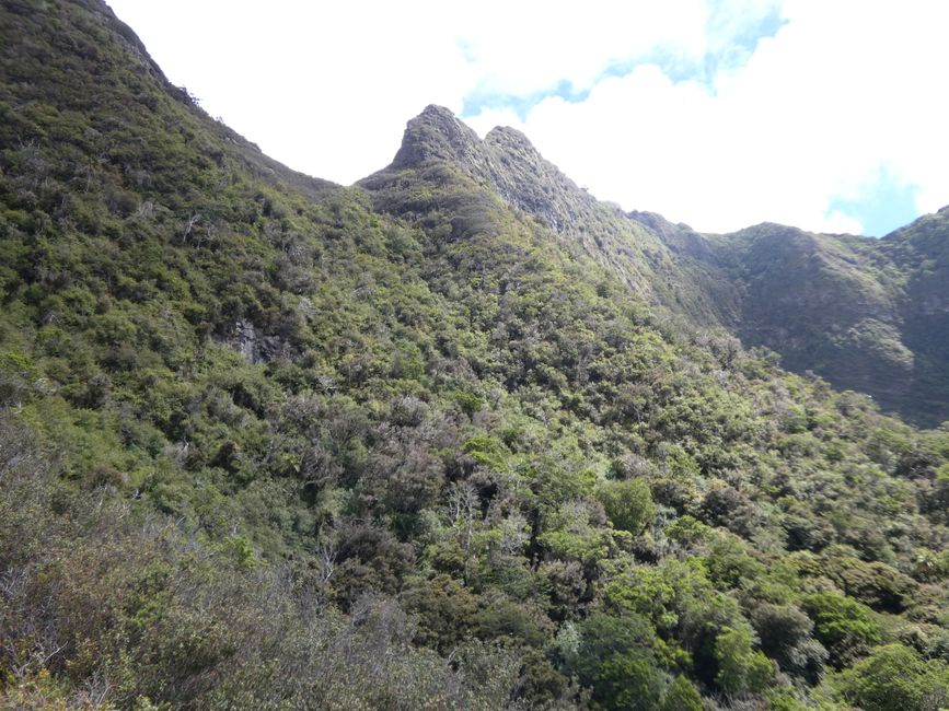 Robinson-Crusoe-Insel (Juan-Fernández-Inseln)