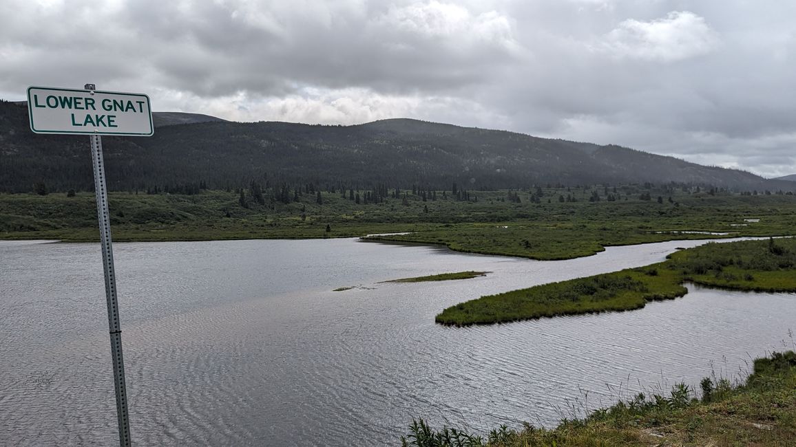 Lower Gnat Lake