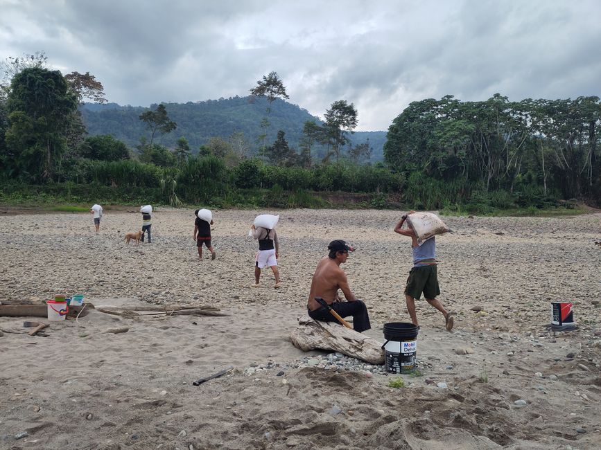 Leuchtende Käfer, grüne Orangen und andere Besonderheiten: Meine letzten Tage in der peruanischen Selva