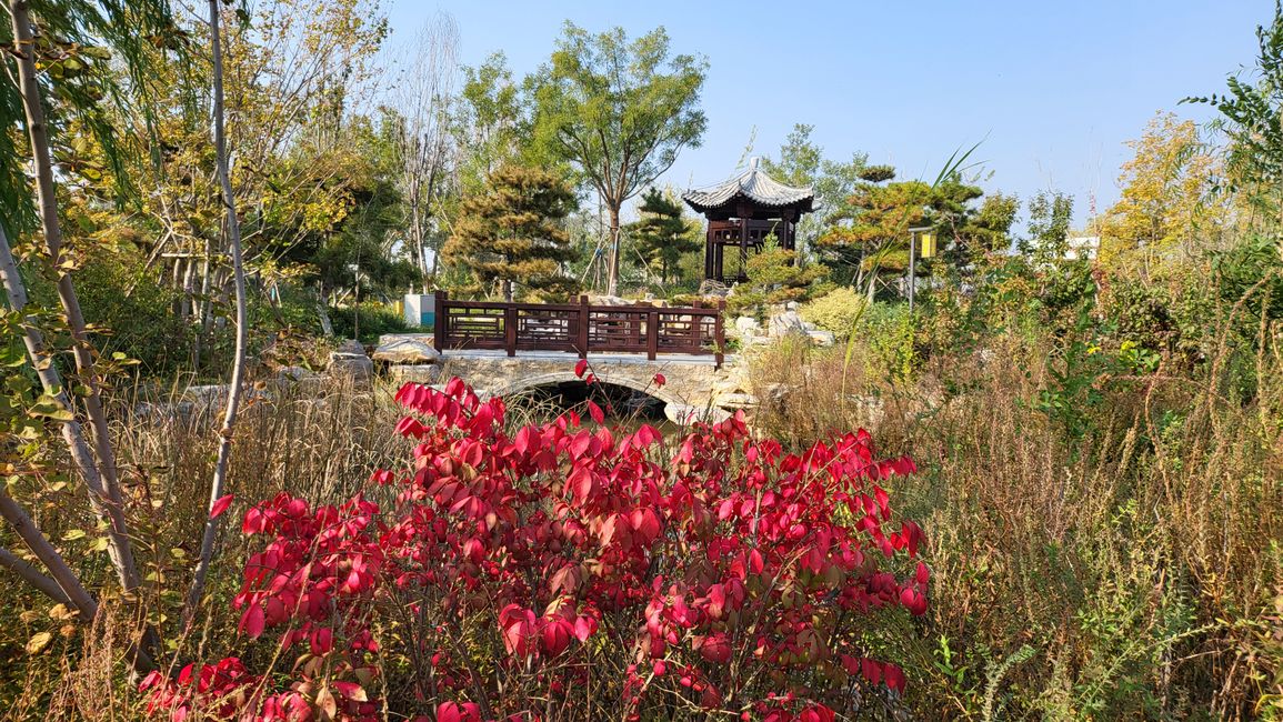 Exposición de Jardín Cangzhou