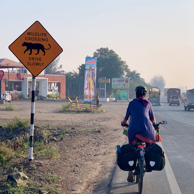 Cycling through big cities and lots and lots of hinterland - India III