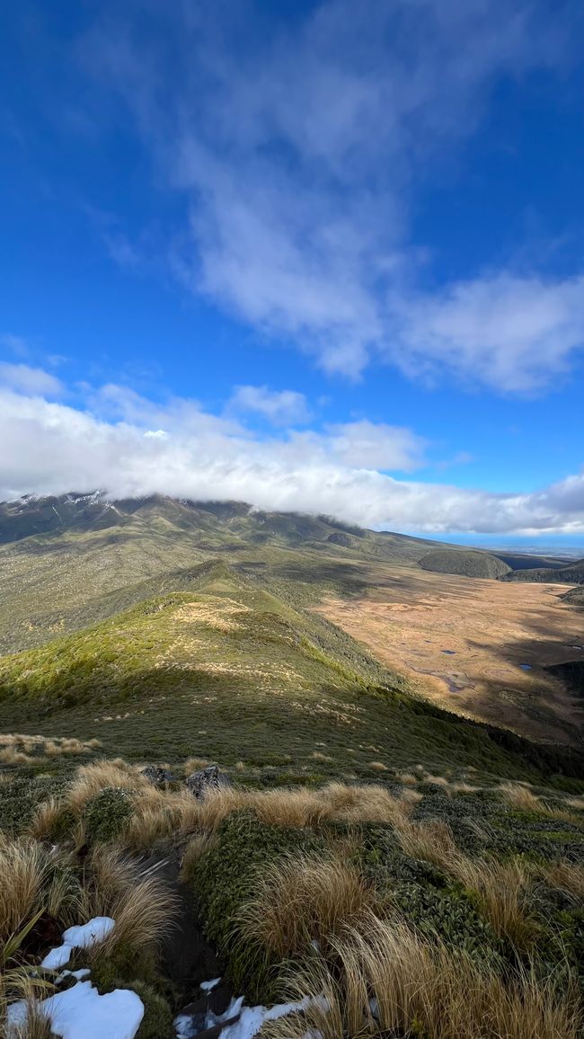 Blick von Henrys Peak auf den Taranaki - leider in Wolken