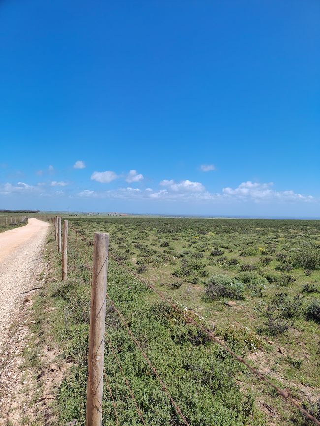 Sagres -> Vila do Bispo