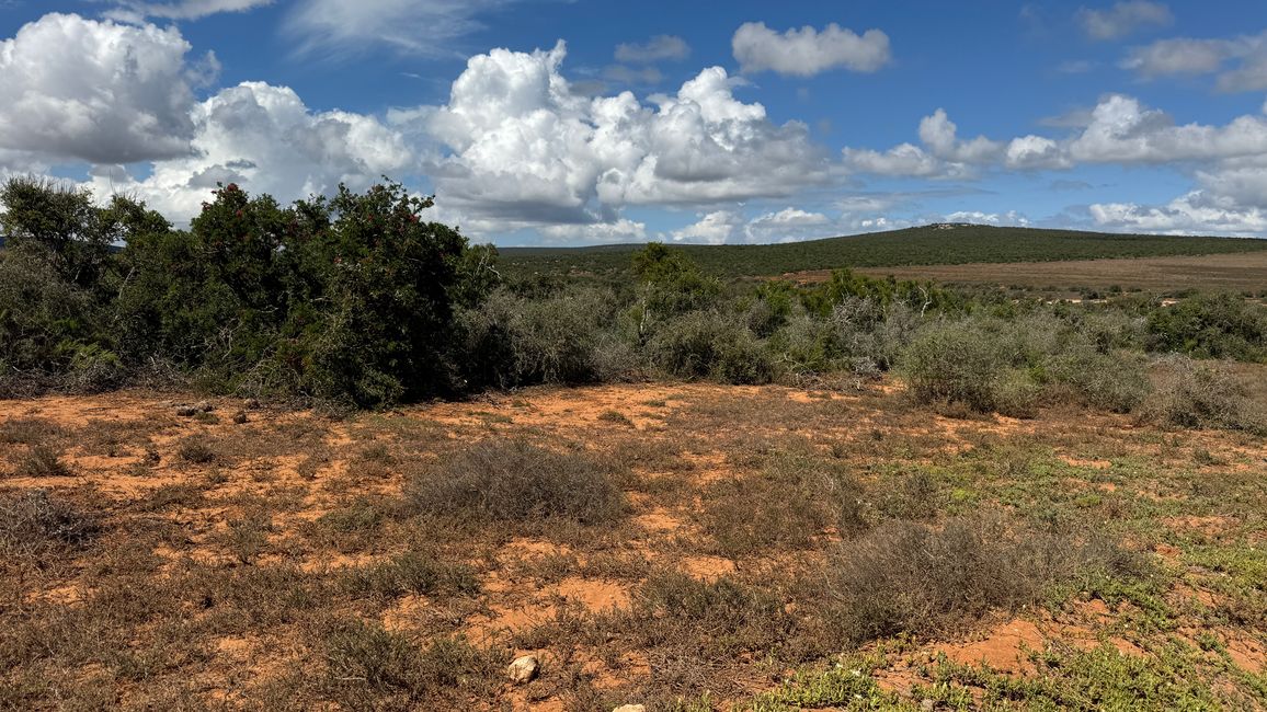 Addo Nationalpark