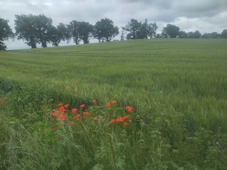 Okzitanien - wandern in einem gesegneten Land