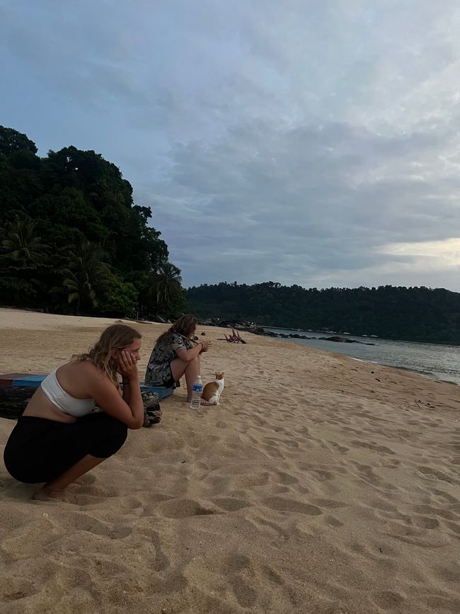 Tioman Island