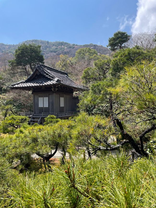 Kyoto-Domingo-06.04.25