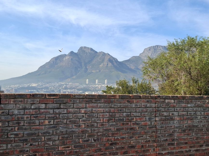 View from courtyard area