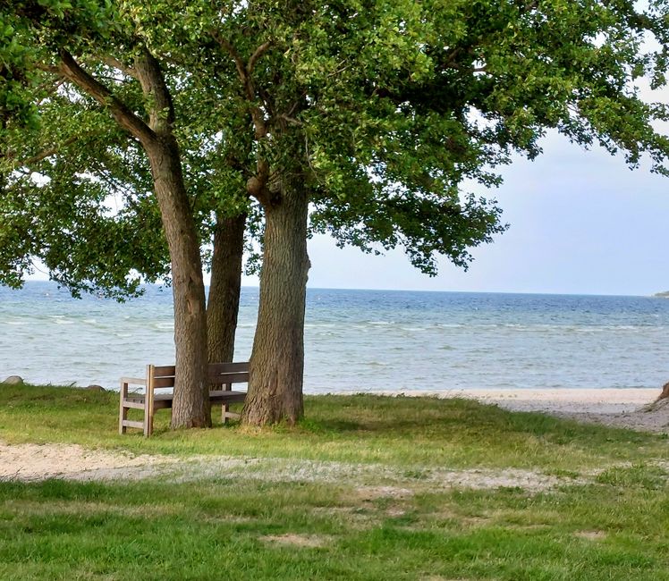 Strand Köpingsvik 