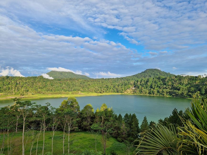 Étiquette 9 Siladen/Tomohon