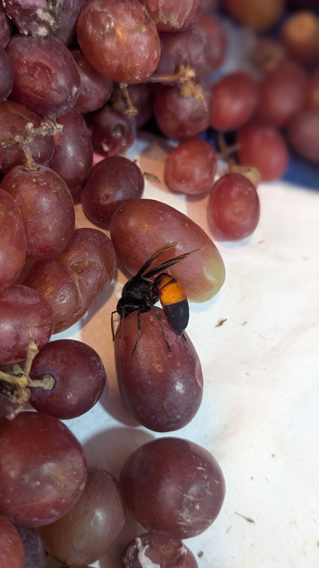Wir haben die Sonne wiedergesehen.