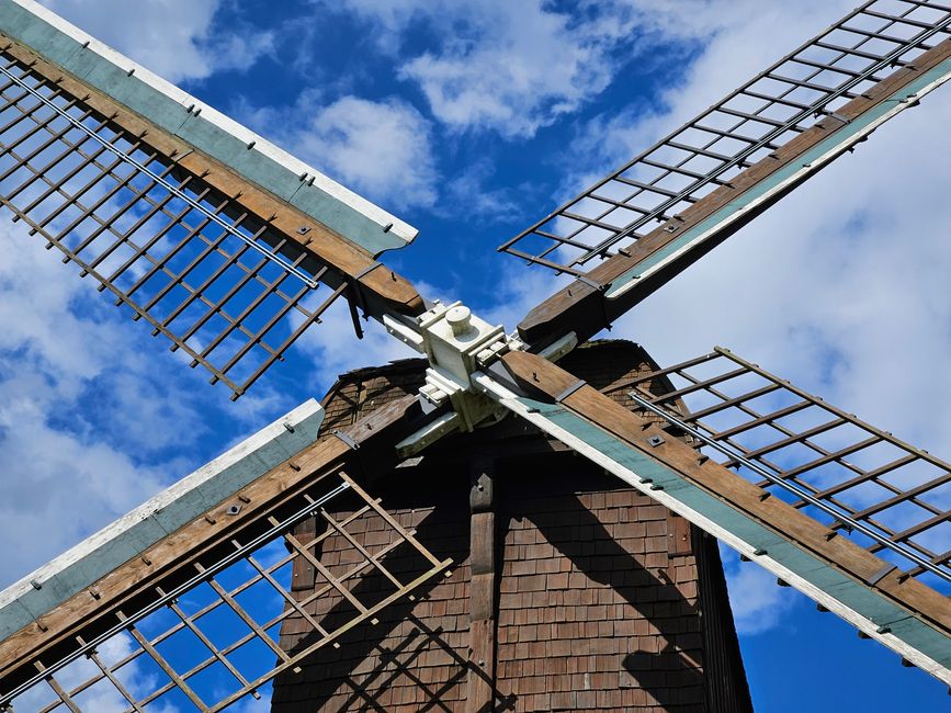 Bockwindmühle