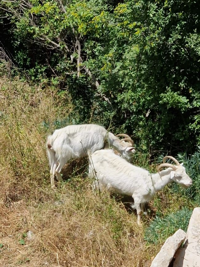 Balkan Trip von Deutschland bis Albanien - Von Mostar nach Herceg Novi