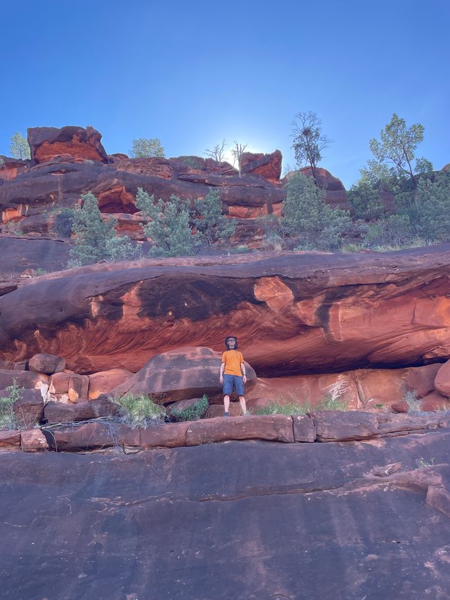 The rock walls in Palm Valley resemble stacked stone slabs