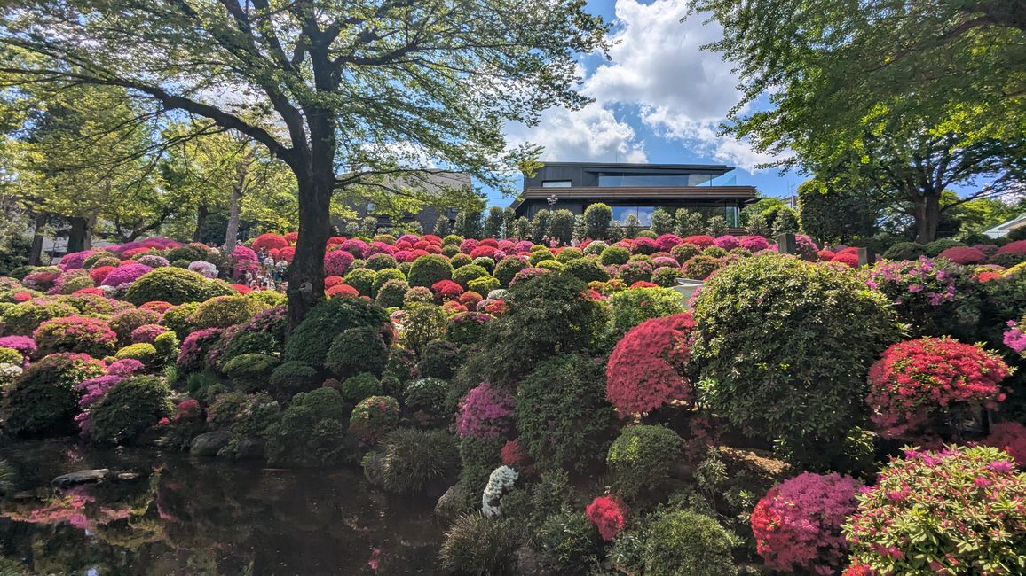 Tenno ji Tempel, Nezu Schrein, Hie und Innrie Schrein