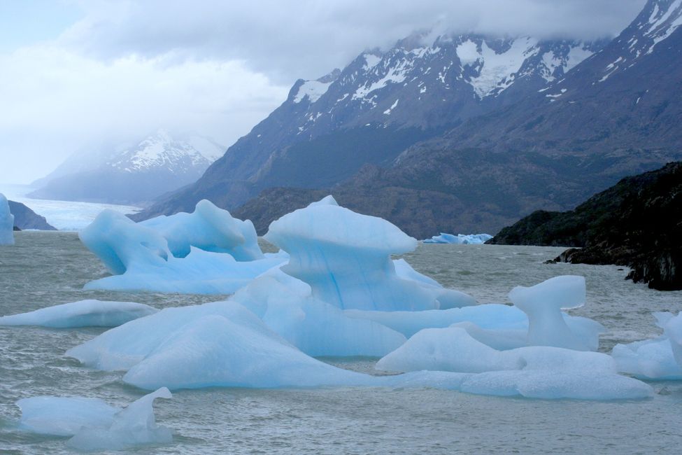 Torres del Paine