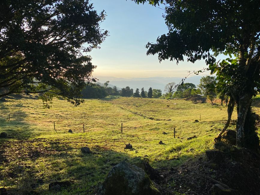 Sarapiquí