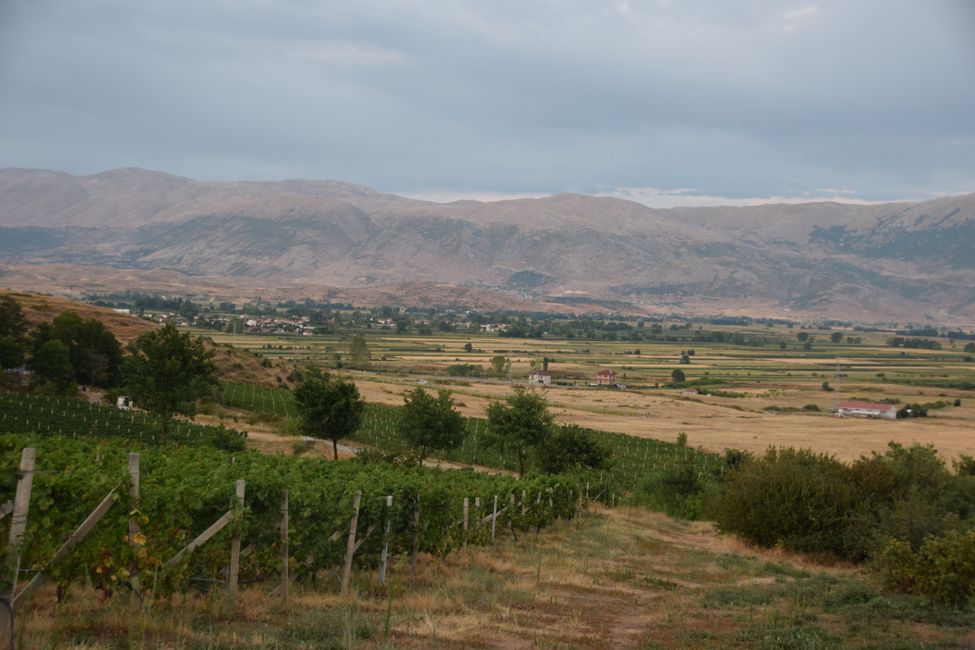 Vino e Raki