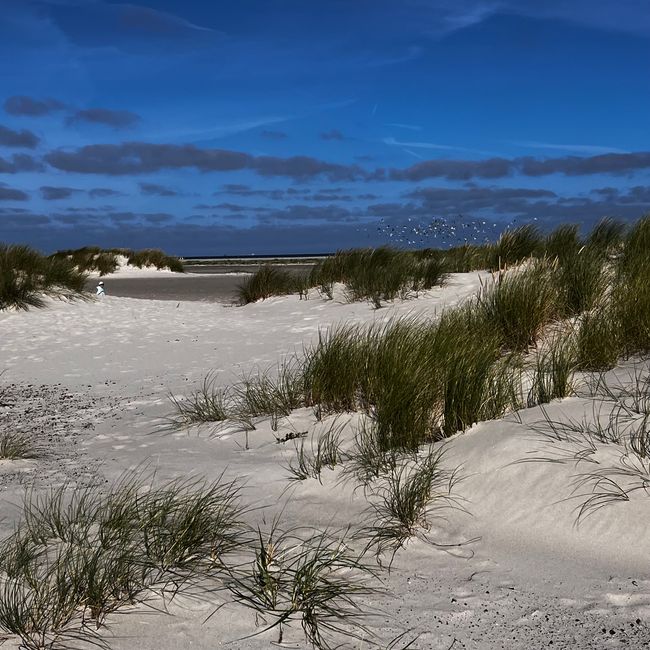Ankunft in Hirtshals