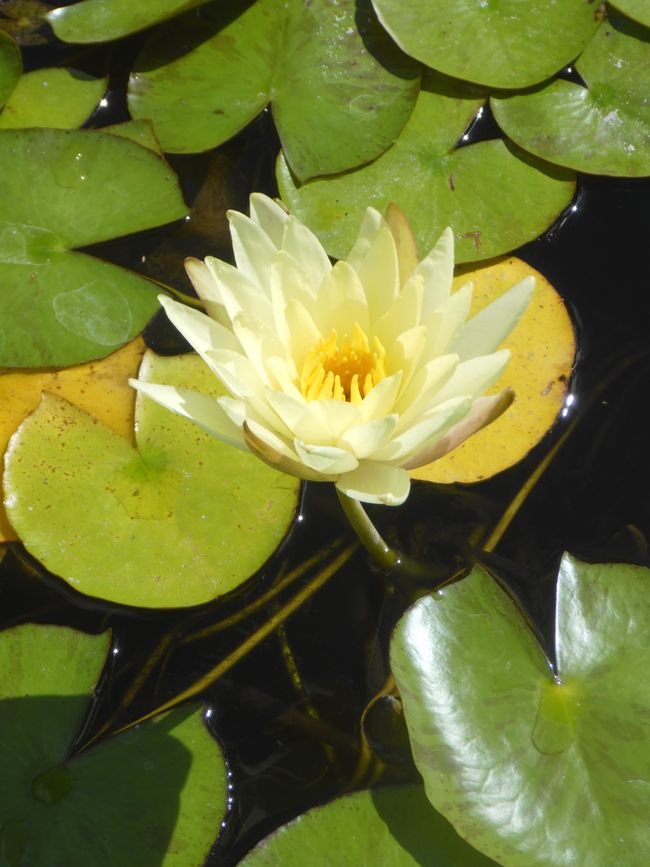 Im kleinen Park zwischen den Ortsteilen 
