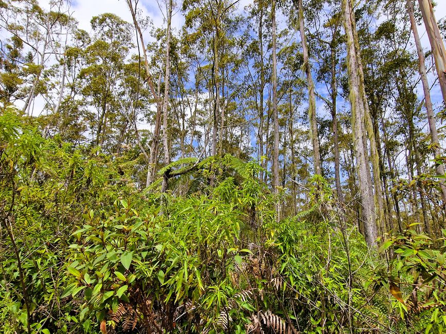 Horas, Danau Toba und ein Wiedersehen nach 34 Jahren