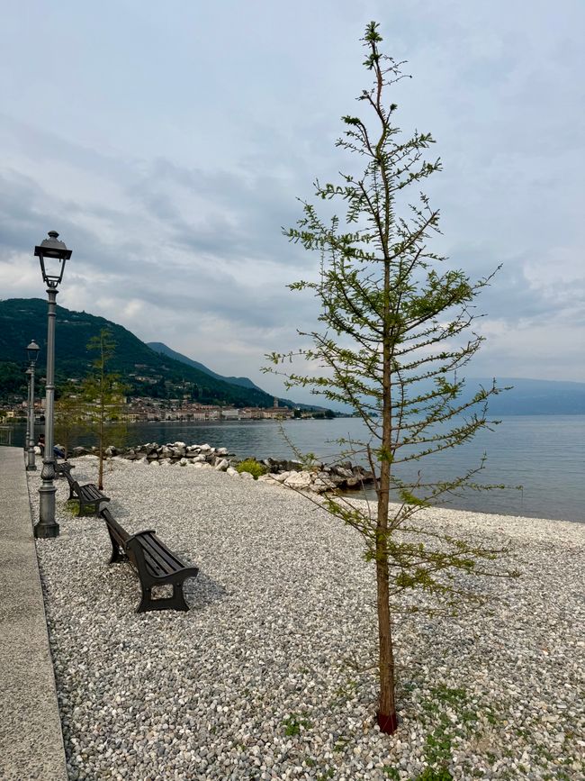 📍Salò, Italy