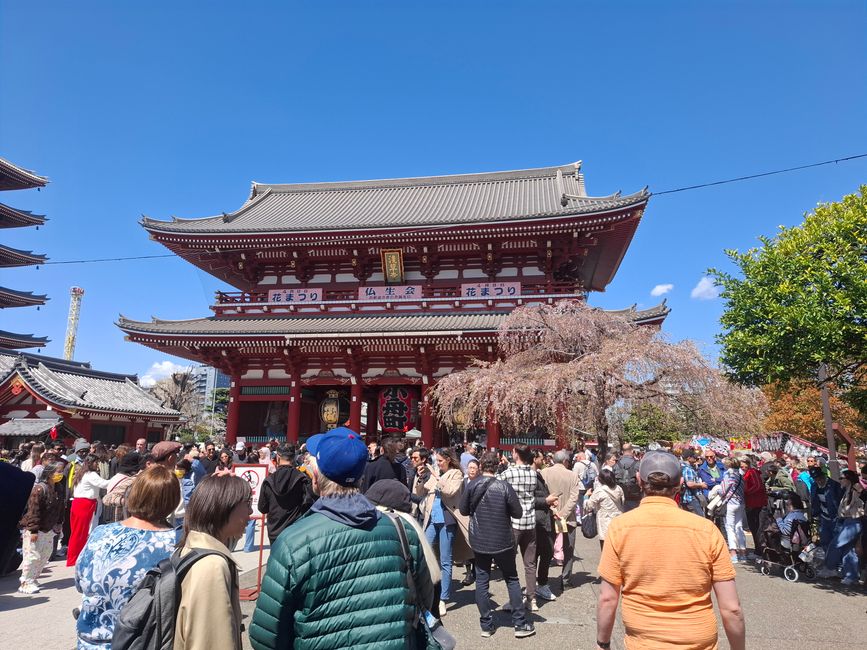 Sightseeing Tag