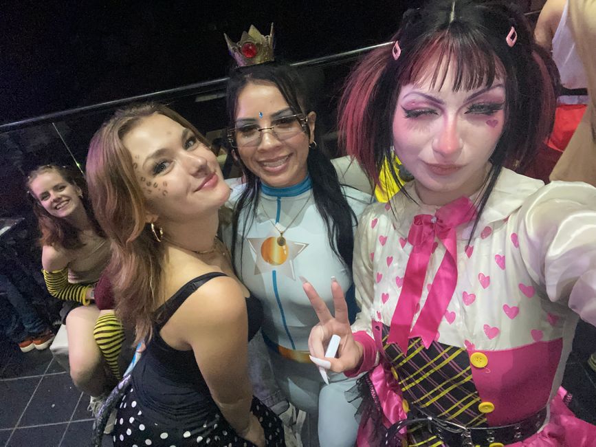 Medellín- die Stadt, in der alles erblüht?