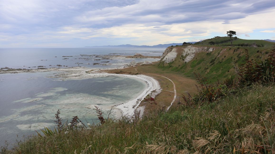 Camino de la Península de Kaikoura