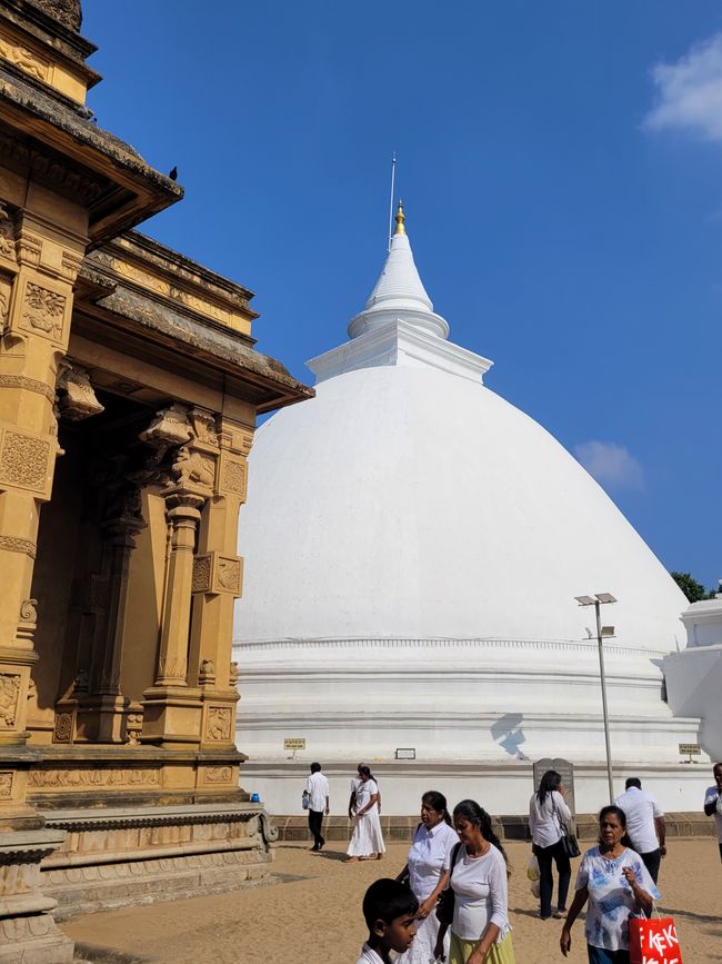 Tag 124 und 125 von 175: Kreuzfahrt rund um die Welt - Colombo/Sri Lanka und Seetag