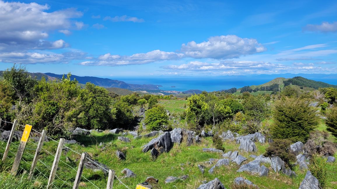 Von den Seehunden weiter in den Abel Tasman-Nationalpark