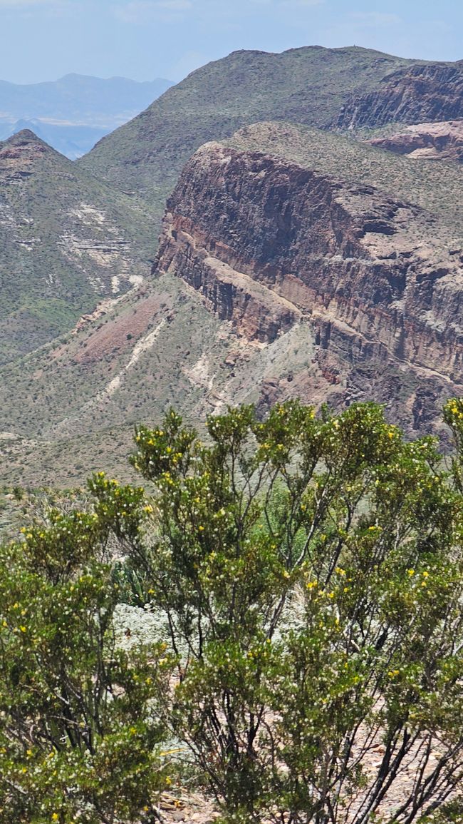 Mirador Sotol Vista