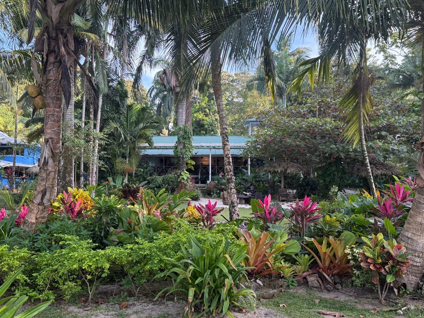 Die Strandbar "Spicy Coconut"