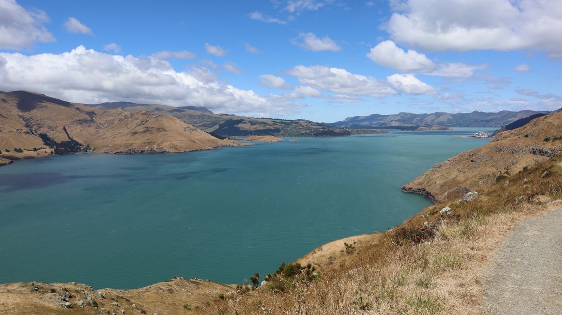 Godley Head Loop Track