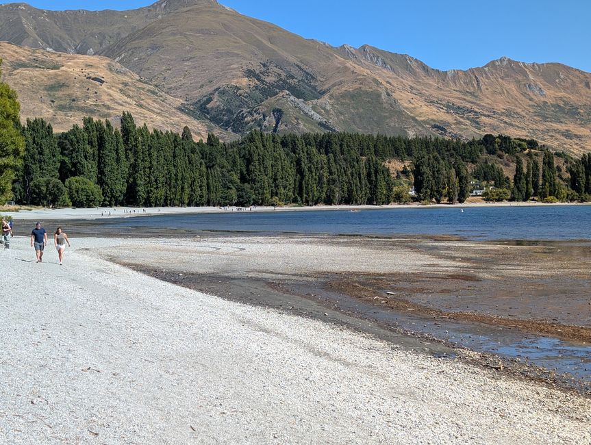 Lake Wanaka mit berühmten Baum ganz weit entfernt