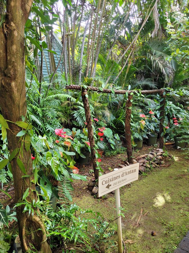 Tag 132 und 133 von 175: Kreuzfahrt rund um die Welt - Port Louis/Mauritius - geänderte Route - weiträumige Umfahrung der Krisengebiete