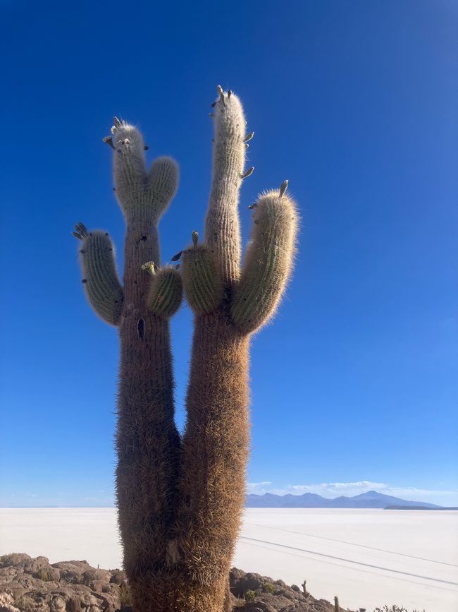 El desierto de sal en Bolivia