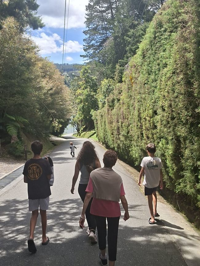 Semaine 26-28 : Au revoir, Colombie