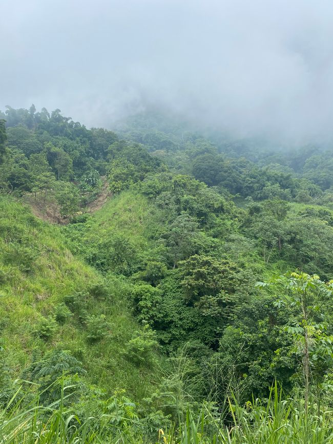 哥伦比亚 🇨🇴