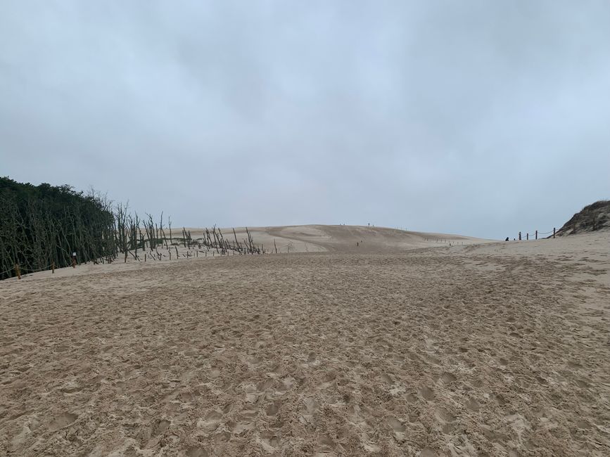 Die Lontzkedüne (Wydma Łącka) 