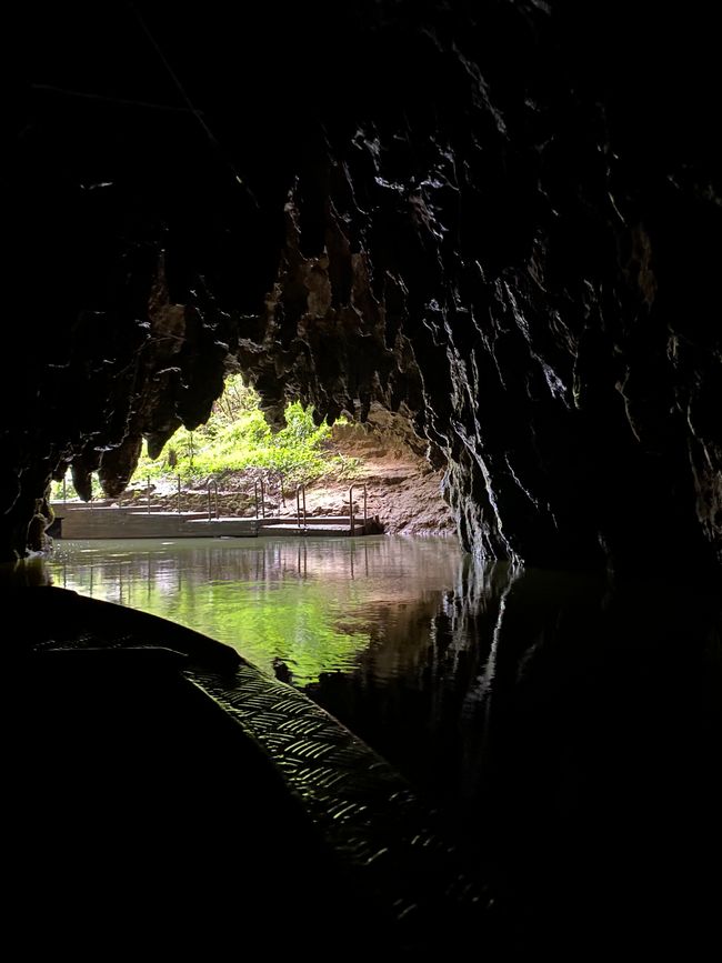 Tour durch die Waitomo Caves