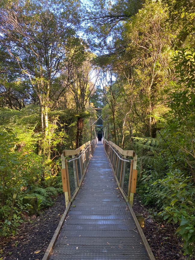 Wonderful suspension bridge 