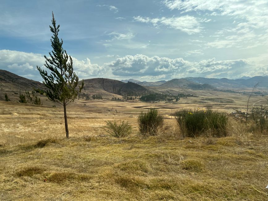 Etiqueta 14
Urubamba